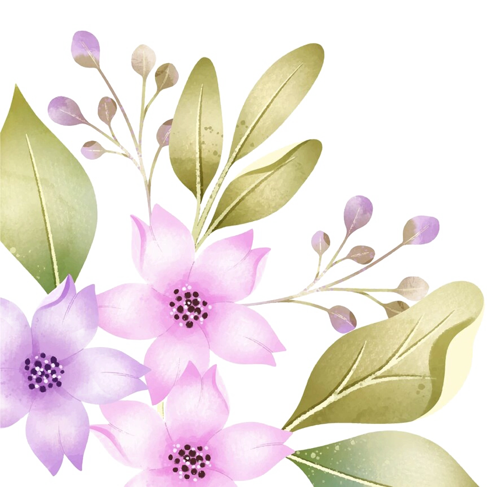 background illustration of plants