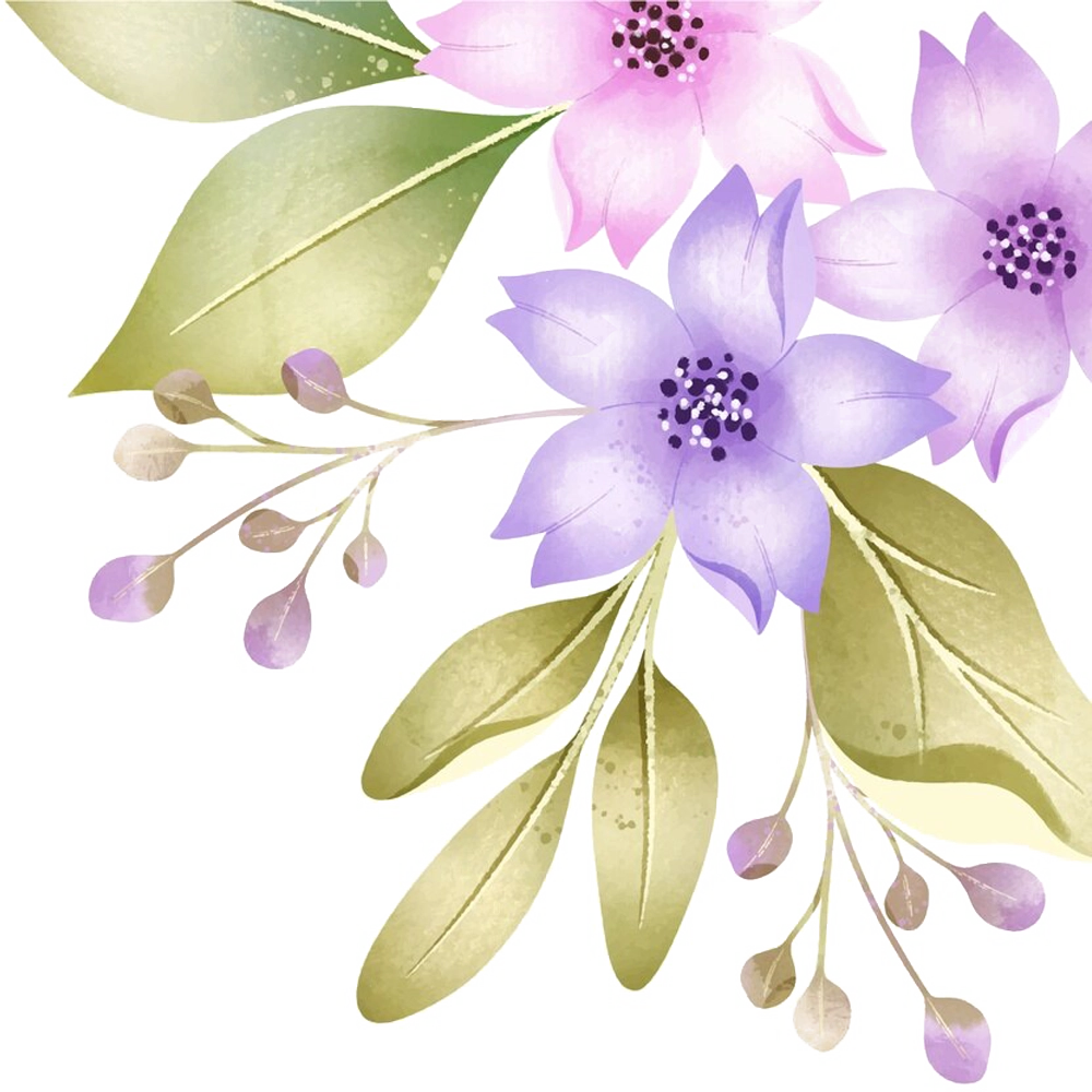 background illustration of plants